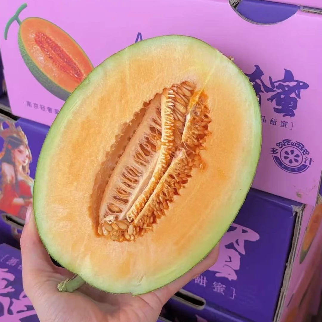 轻奢蜜新疆哈密瓜 脆甜可口 整箱约14斤