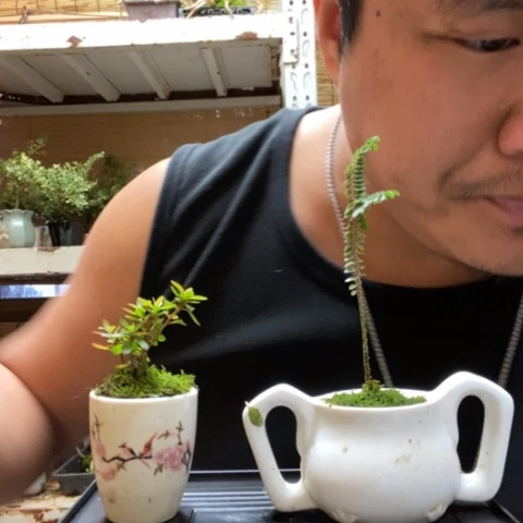 红陶一物一拍所见即所得272