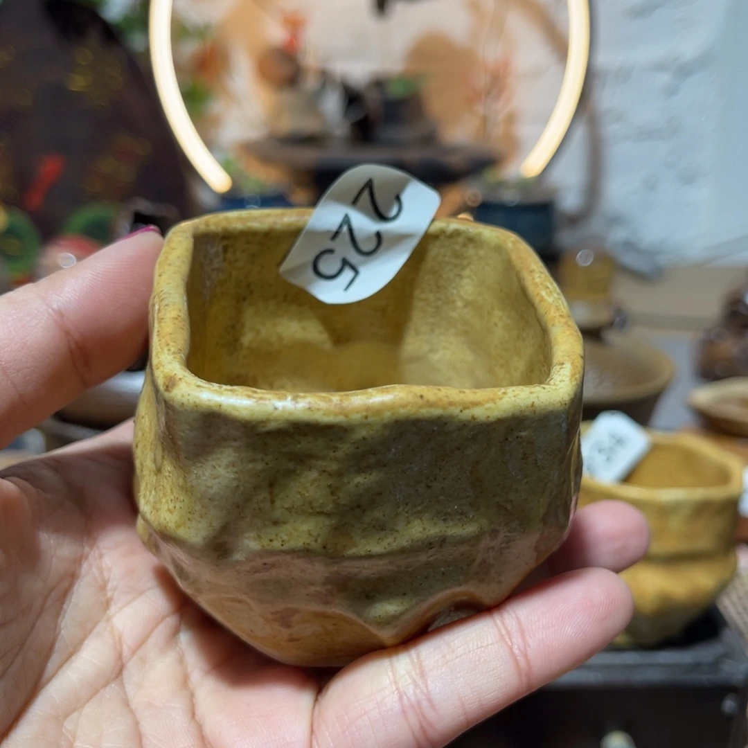 ?****?木村信弘柴烧保平