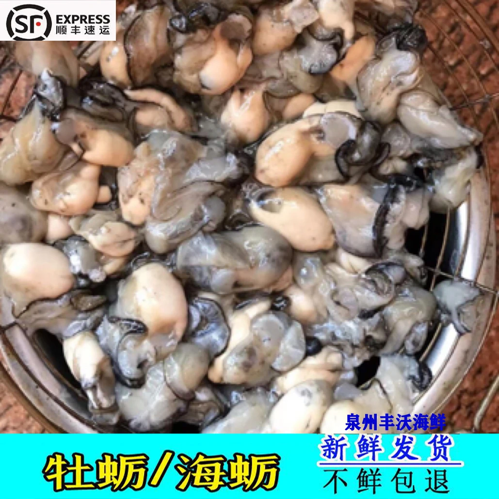 商用饭店福建小海蛎肉小生蚝肉牡蛎鲜活当天现拨海蛎煎2斤3斤