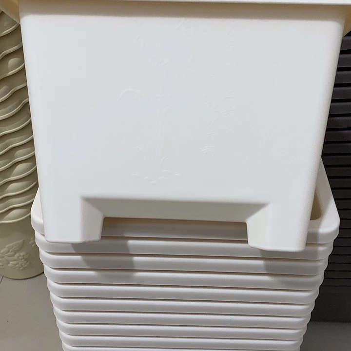 方球根口27高19米白5个