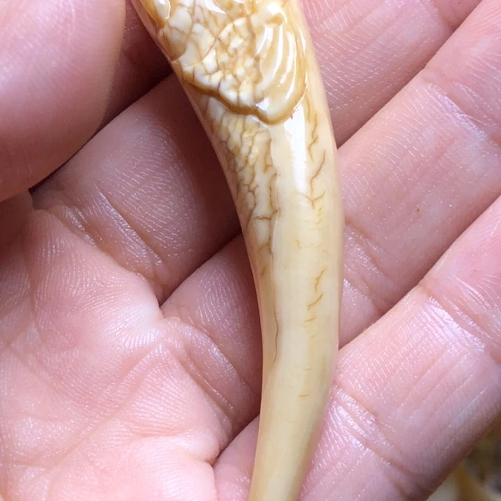 香榧木念珠手链手串手链