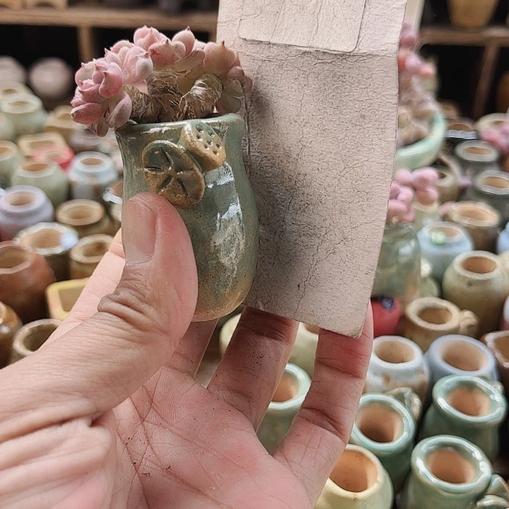 紫**房781密密麻麻买买买