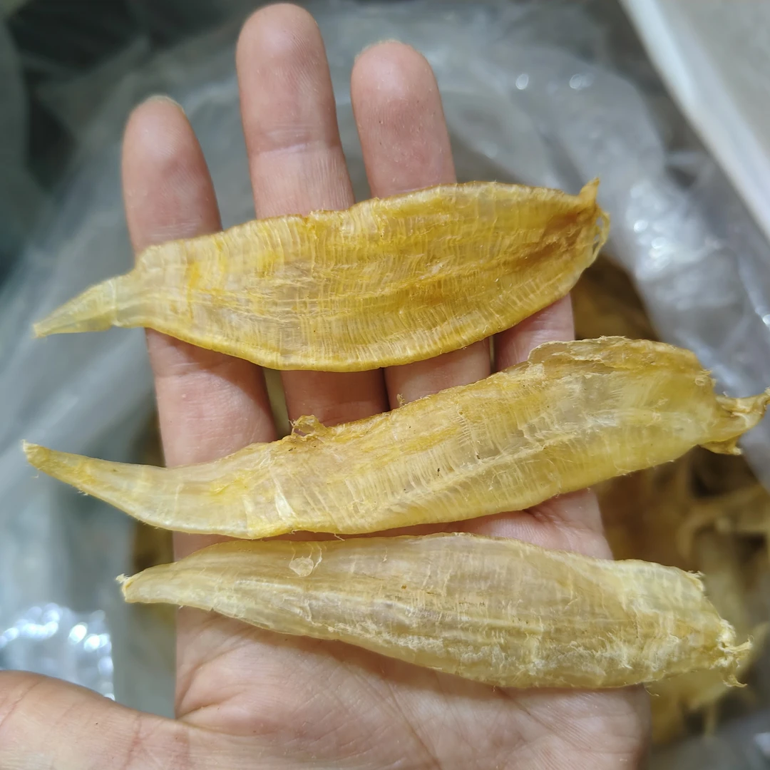 小金龙胶花胶鱼胶深海鱼胶