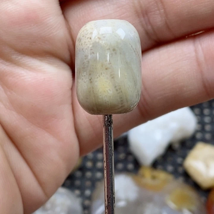 颈饰未镶嵌硅化珊瑚（珊瑚玉）s**.小