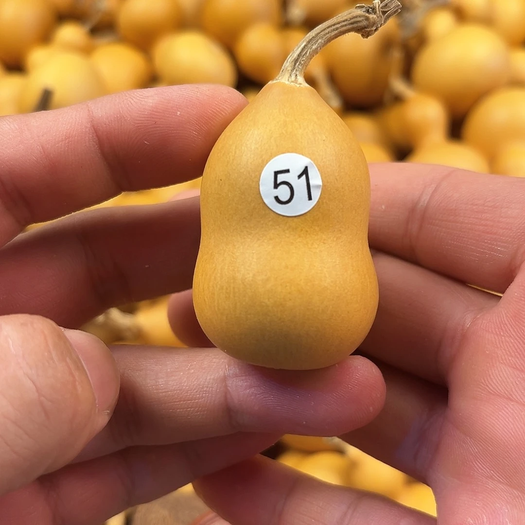 四葫芦葫芦葫芦葫芦51