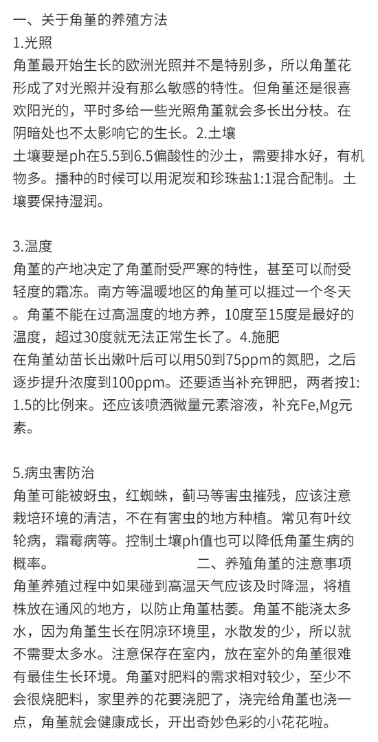 进口一代角堇组合装