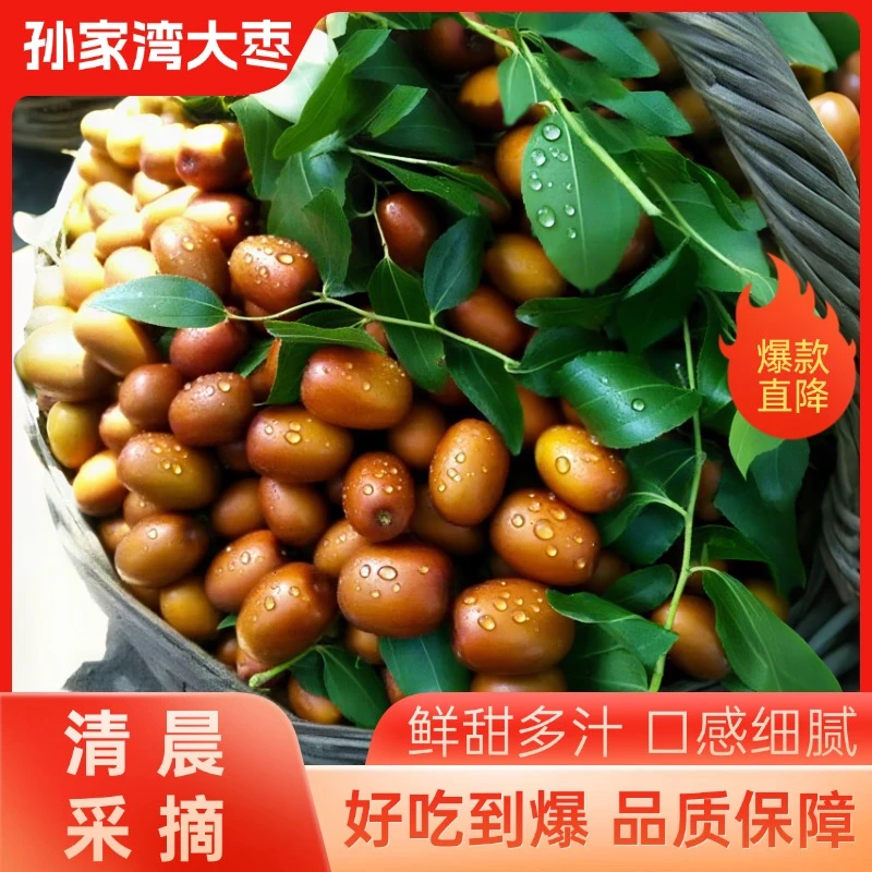 朝阳大枣孙家湾平顶甜枣鲜枣红枣新鲜正宗现摘新枣脆枣冬枣特产