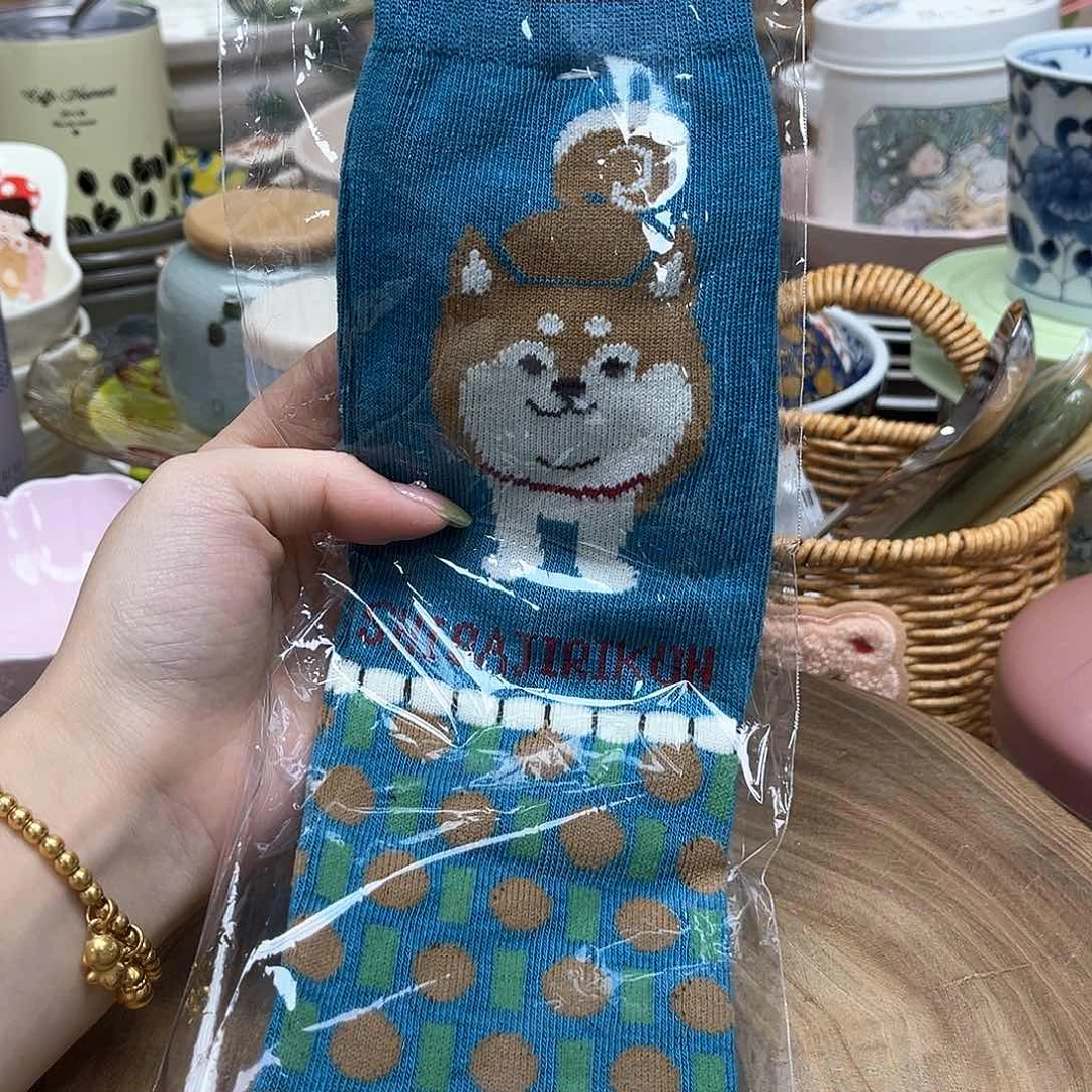 我的姐姐们好可爱