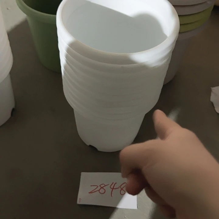 编号编号编号2848
