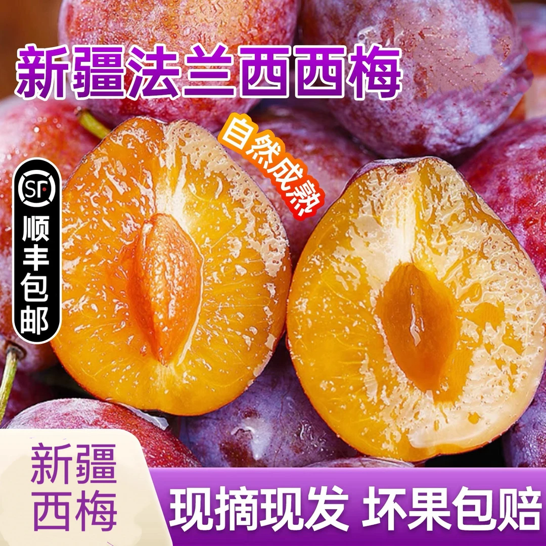 《小军严选》西梅水果新疆喀什西梅新鲜到货顺丰包邮