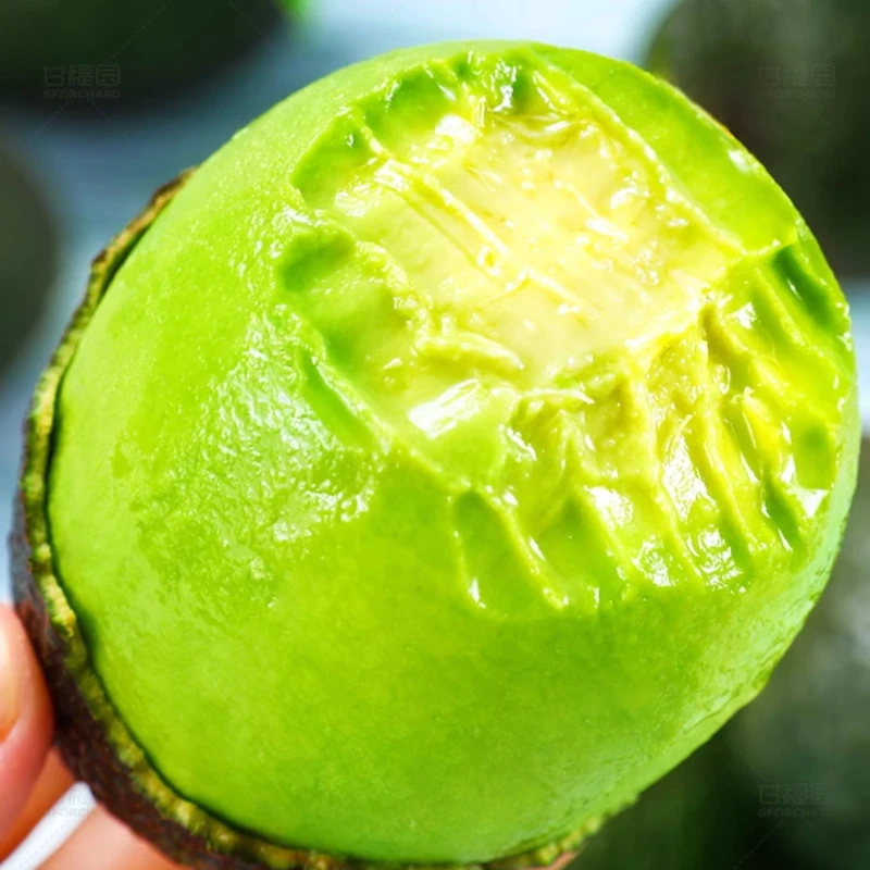 新鲜牛油果大果鳄梨宝宝辅食孕妇即食维c水果现货顺丰家庭装包邮