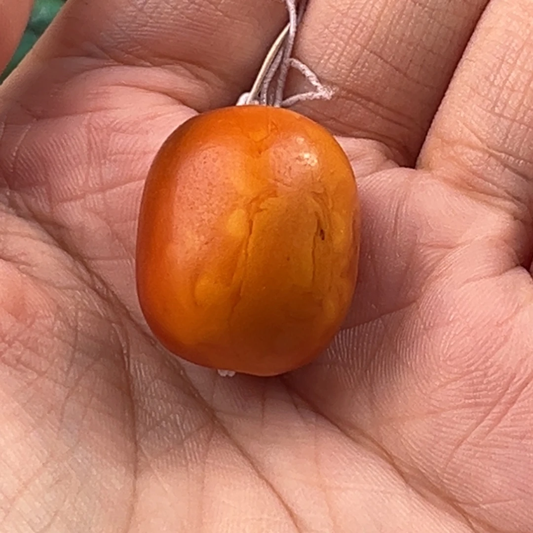 c***螂蜜蜡未镶嵌颈饰老蜜蜡