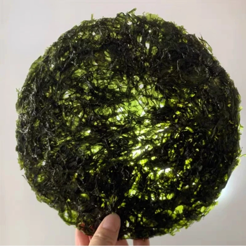 头水绿紫菜[10片]粉丝送两片