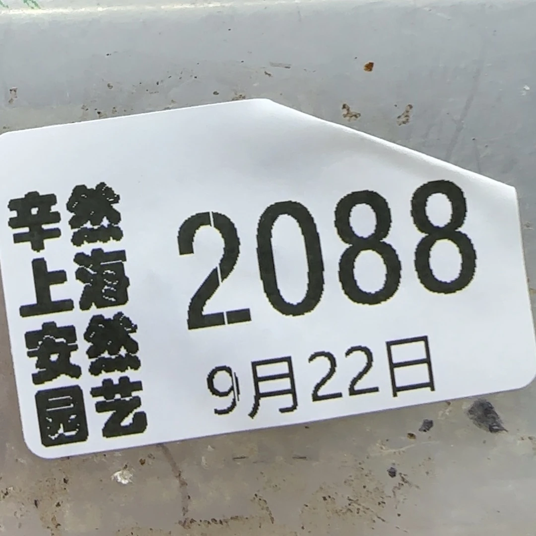 不***民9.22。  专拍。   2088