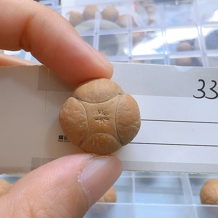 Y***.凤眼菩提吊坠20.6mm麒麟85@3376