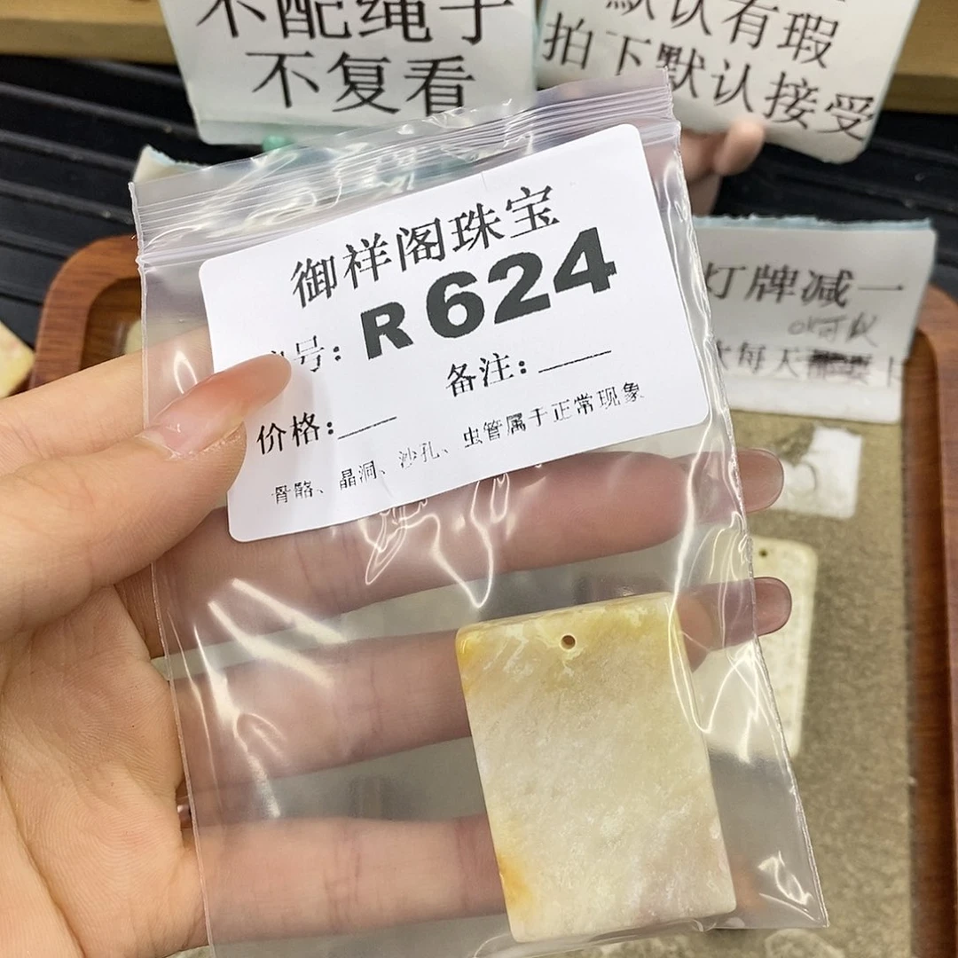 硅化珊瑚（珊瑚玉）未镶嵌颈饰茉*可