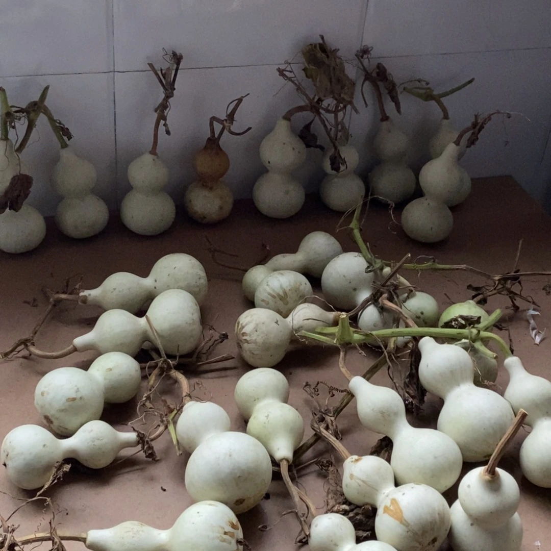 葫芦八宝葫芦xyxuan