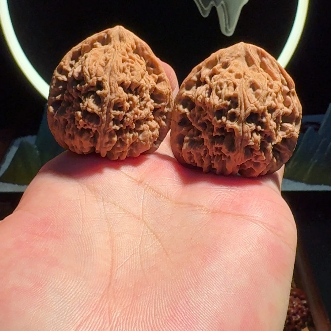 逐鹿南疆尺寸42编号1913