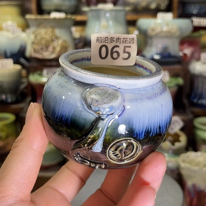 狼盆内口径5高度6