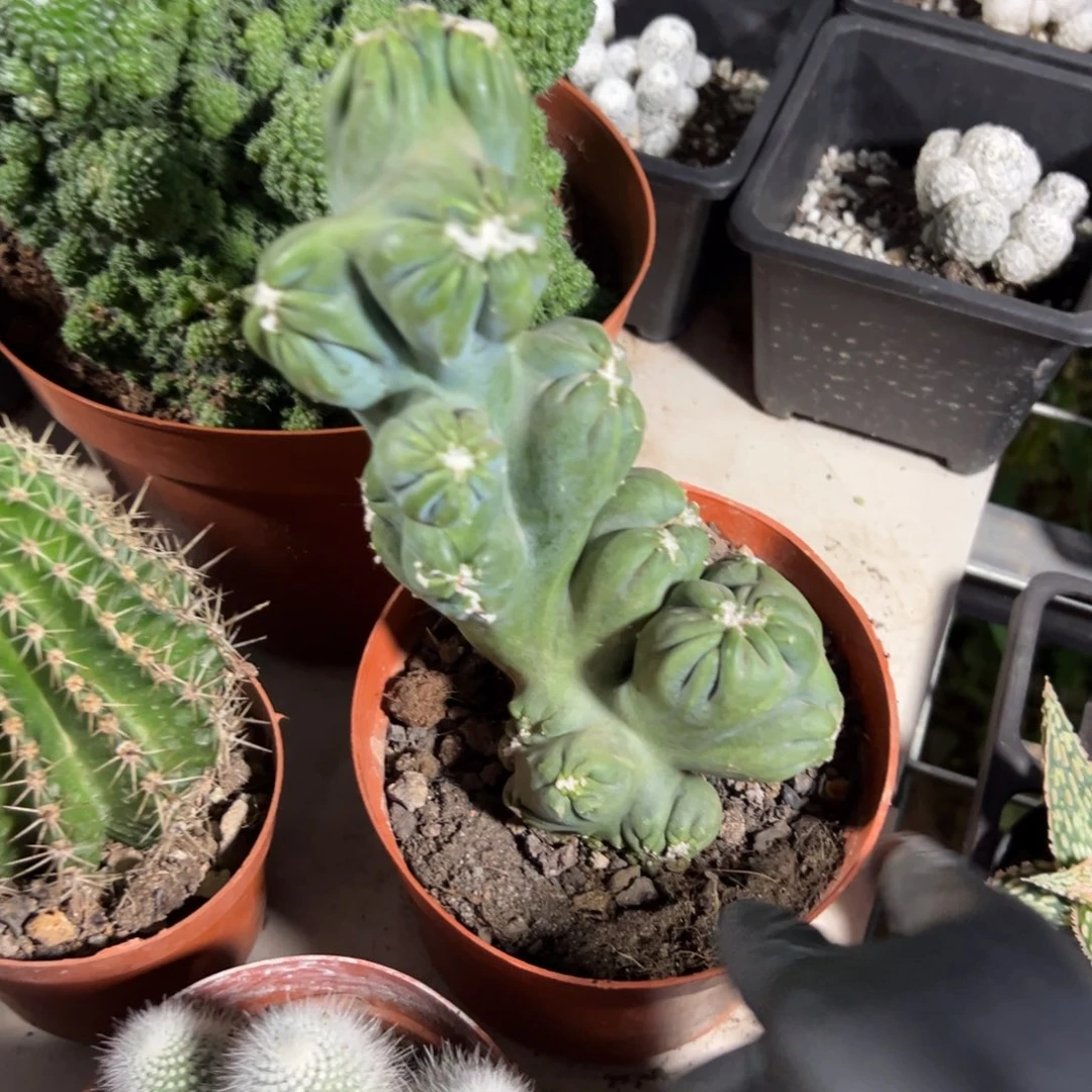 幸***人哈哈哈哈哈哈哈哈哈哈哈