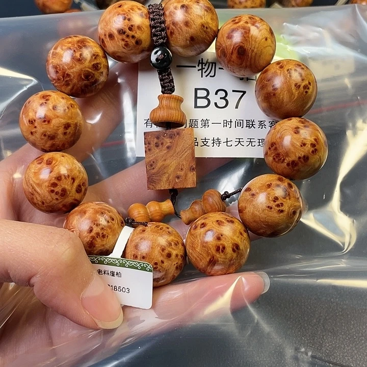 柏木（崖柏）其他学*37