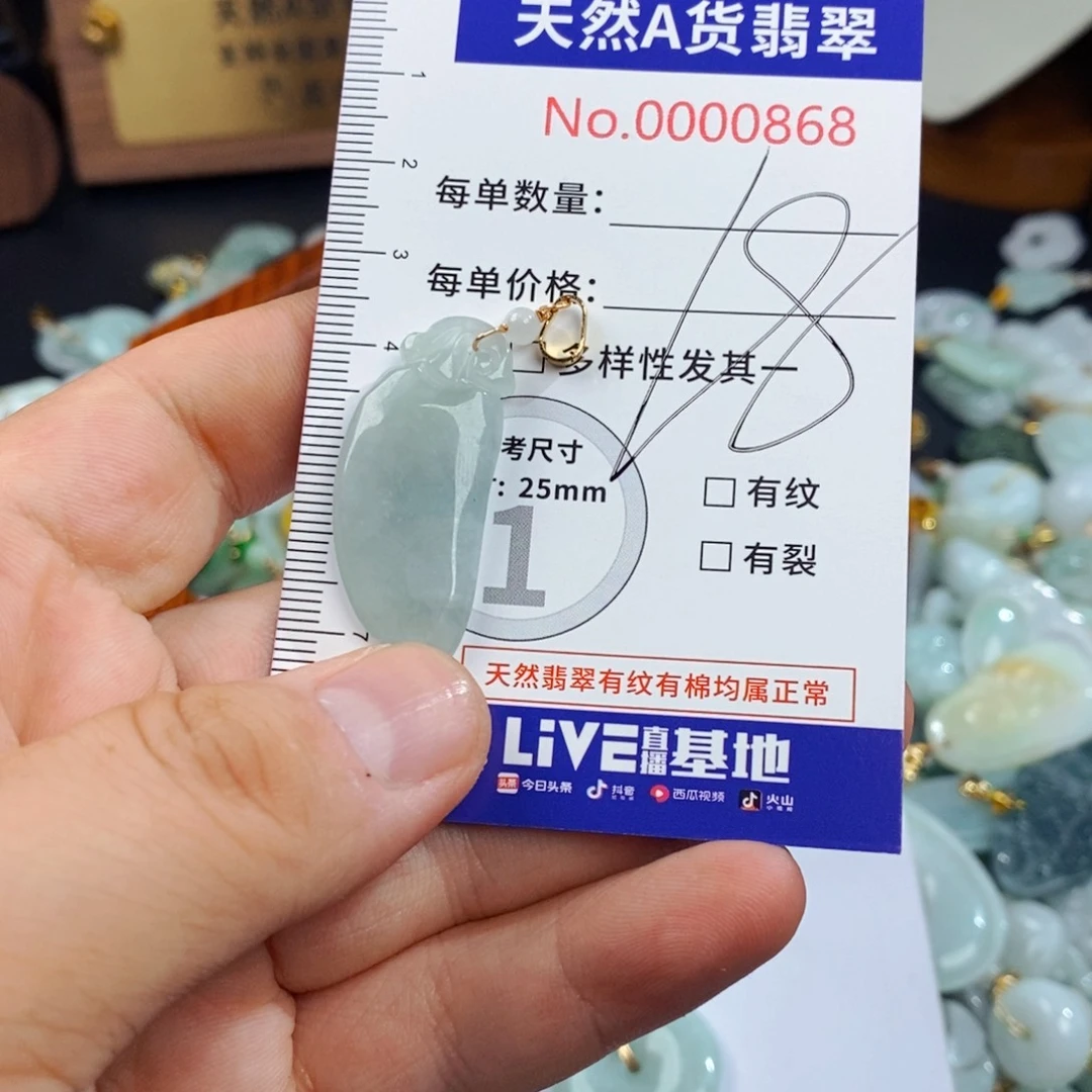 翡翠未镶嵌颈饰868