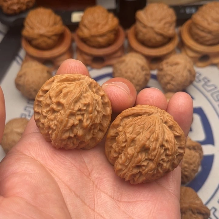 37尺寸全品无瑕疵白狮子