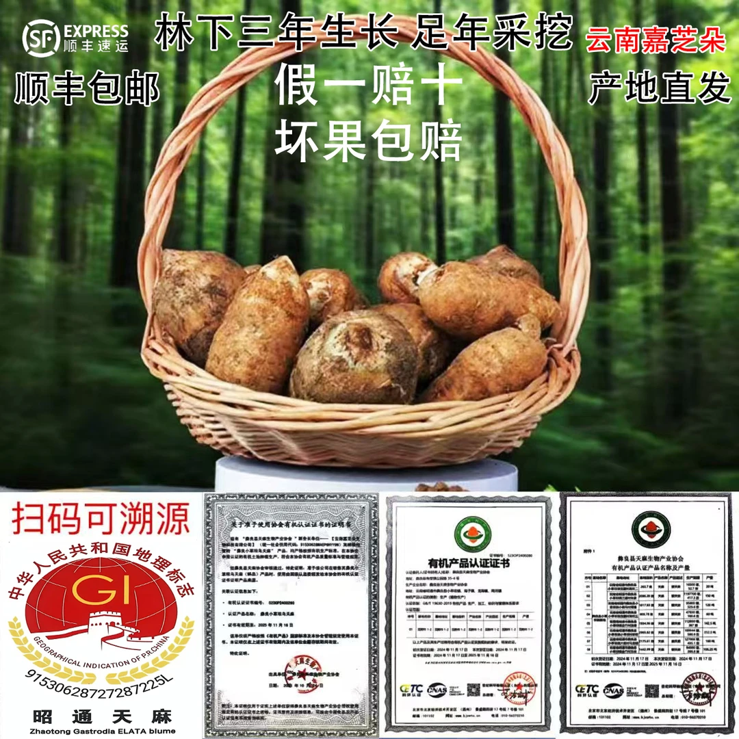 云南昭通小草坝新鲜天麻正品保质包邮