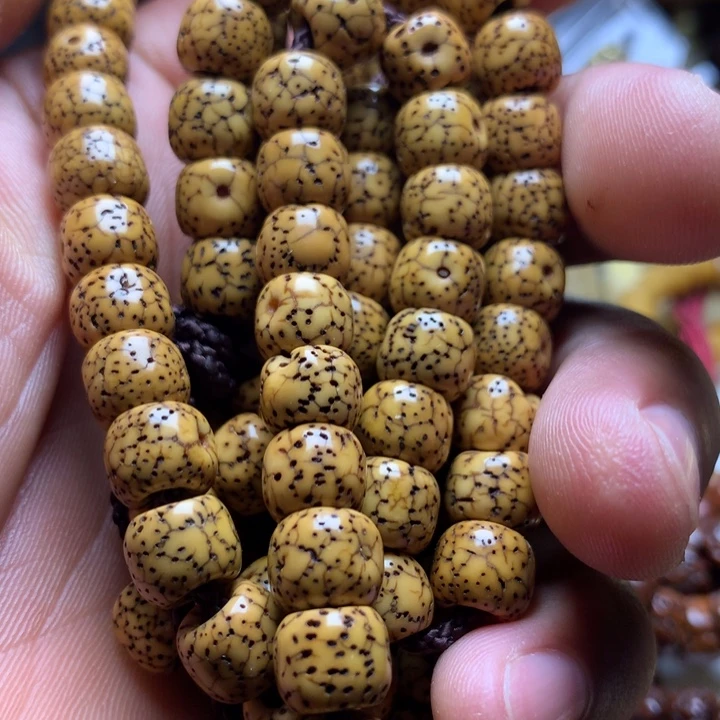 11111111111111111111111