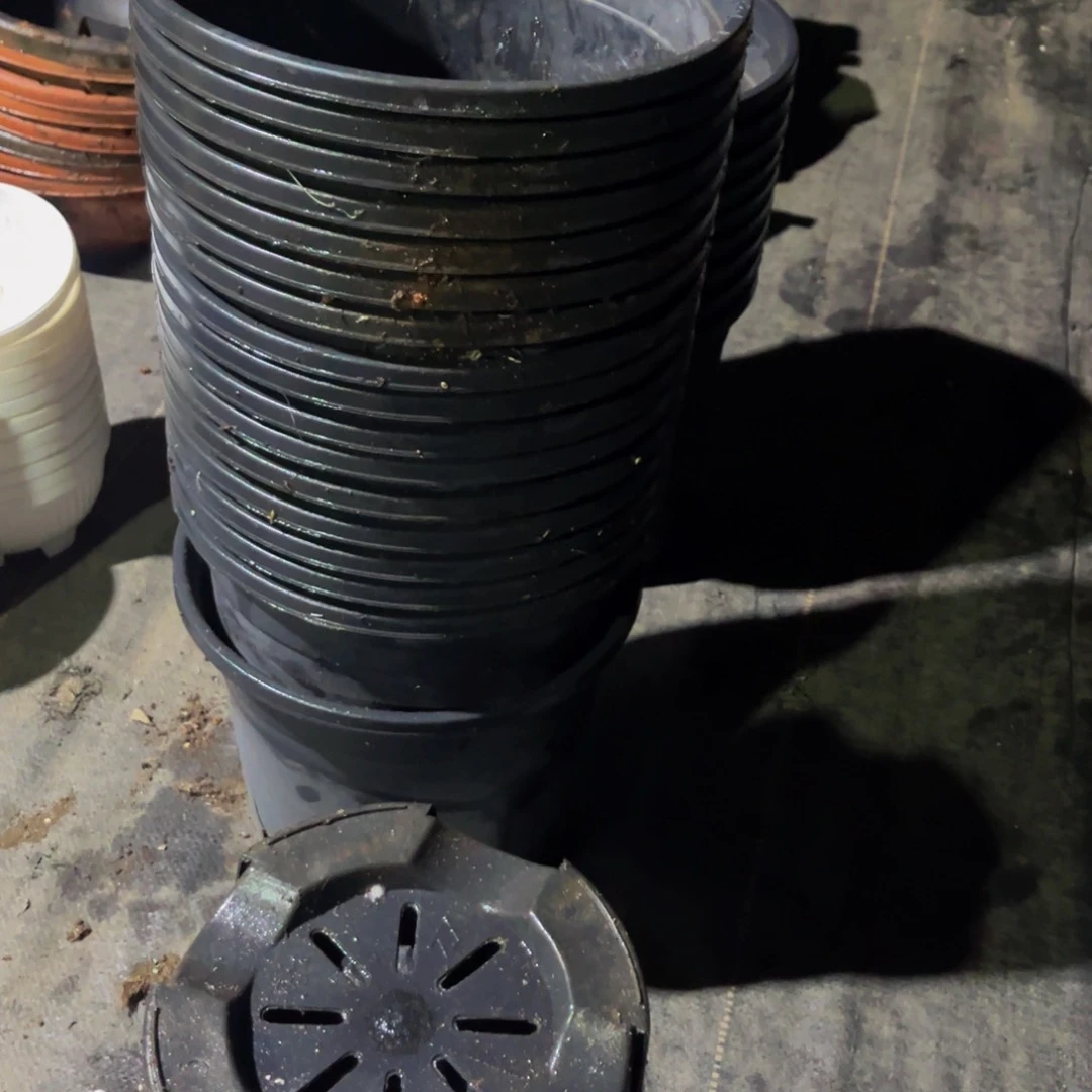 旧口径23高度22加仑盆10个