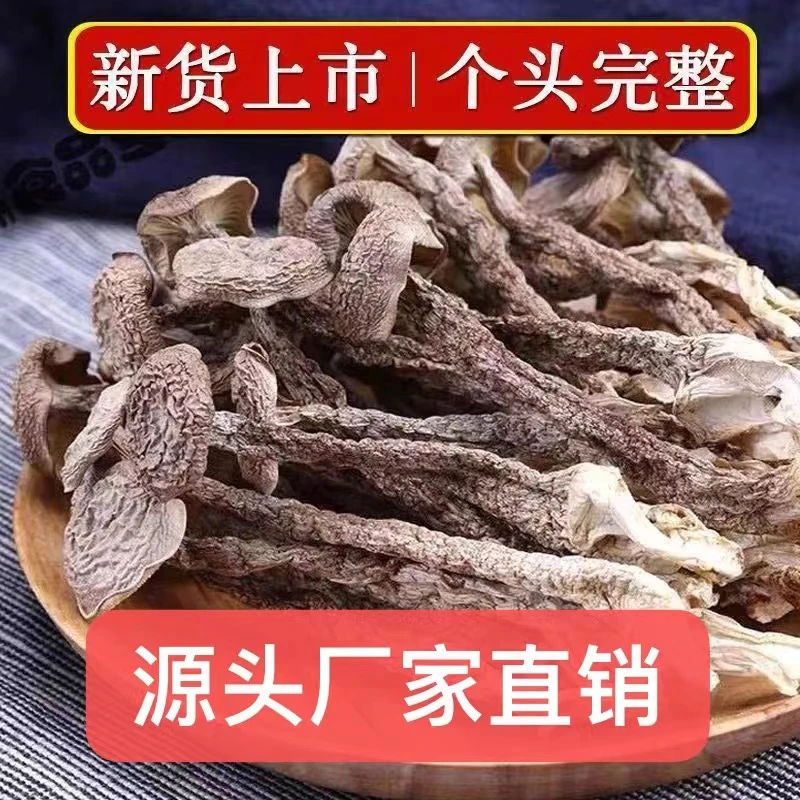 高山鹿茸菇无硫无熏菇干货可凉拌炒肉炖鸡煲汤500g