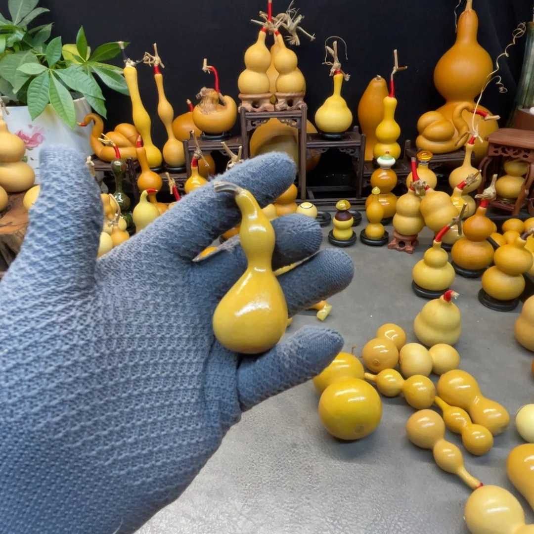 正****柒宝直播专属福利