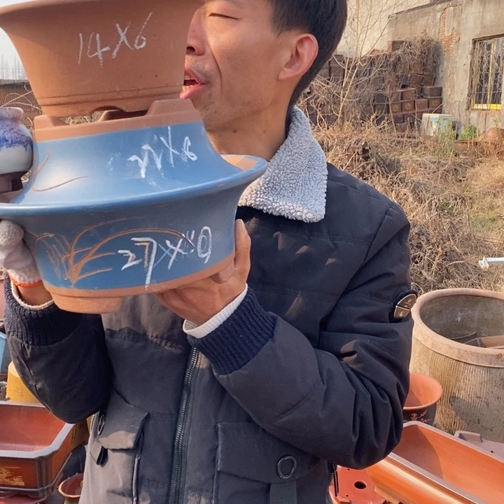 紫砂花盆紫砂特价包邮送