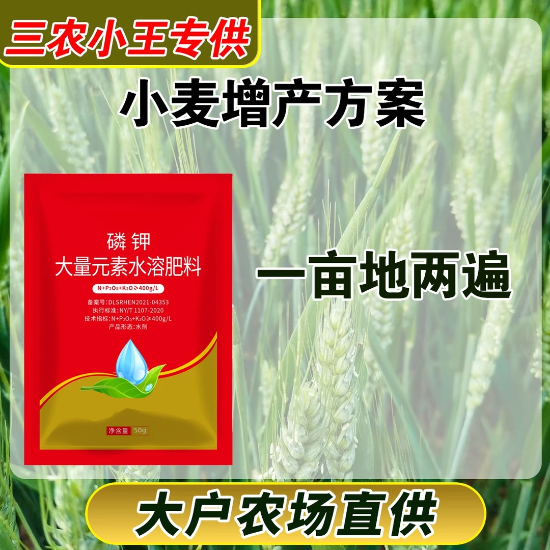 小麦一亩地增产方案叶面肥