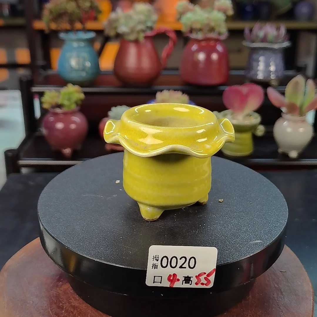拇指多肉花盆编号0020。