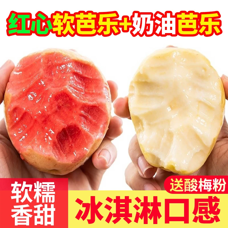 55正宗广西软糯红白心芭乐新鲜水果番石榴脆甜软糯芭乐老树