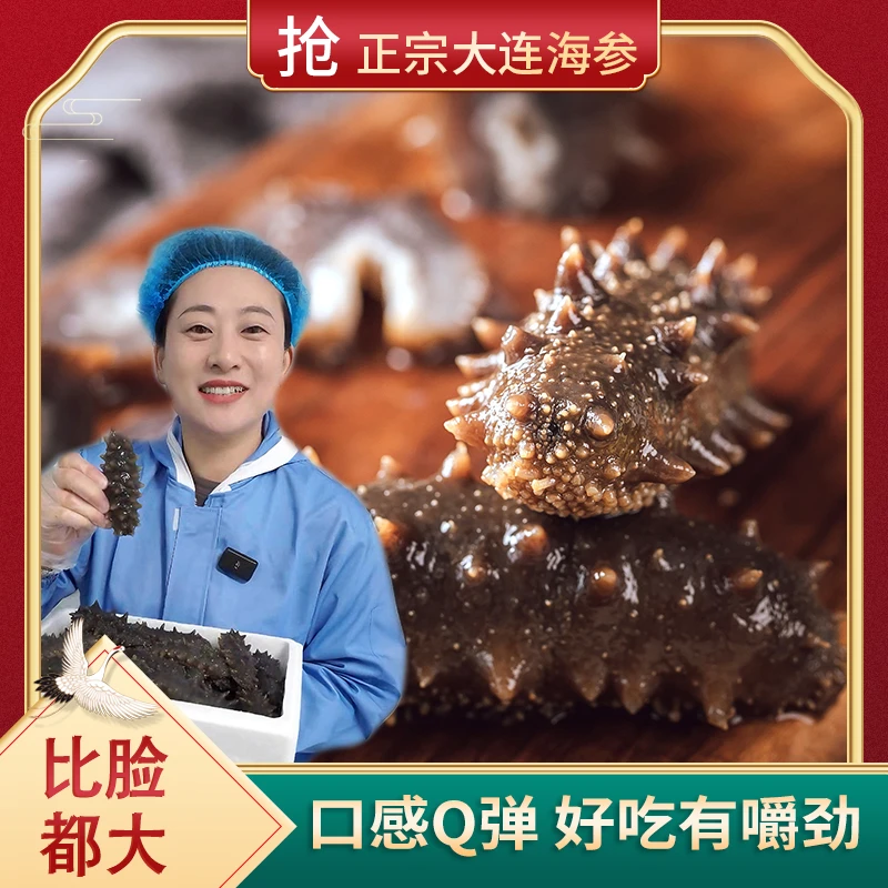[海洋之约] 3斤9A大海参 口感Q弹好吃有嚼劲 头茬秋参 大连直发