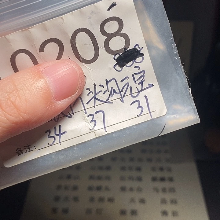 吊坠文玩核桃文玩核桃把件