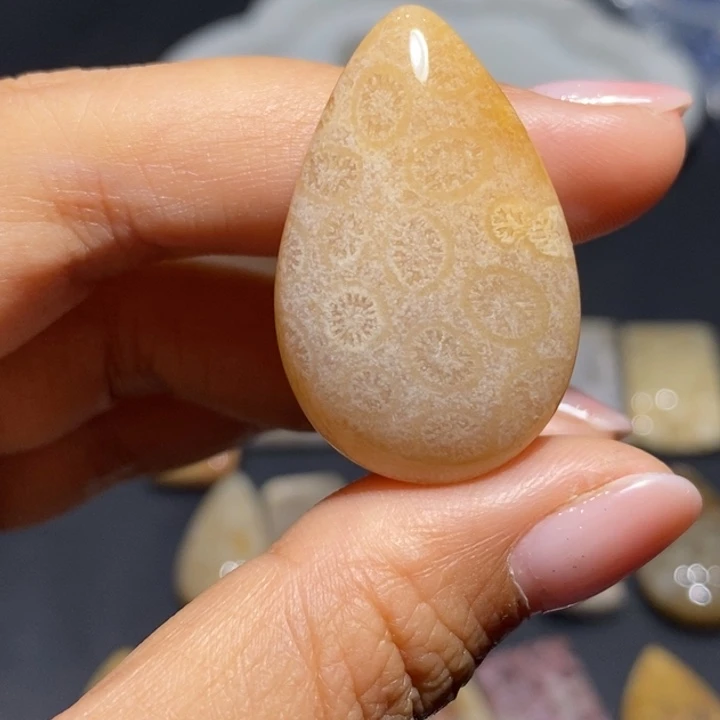 【闪购商品】未镶嵌珊瑚玉硅化玉