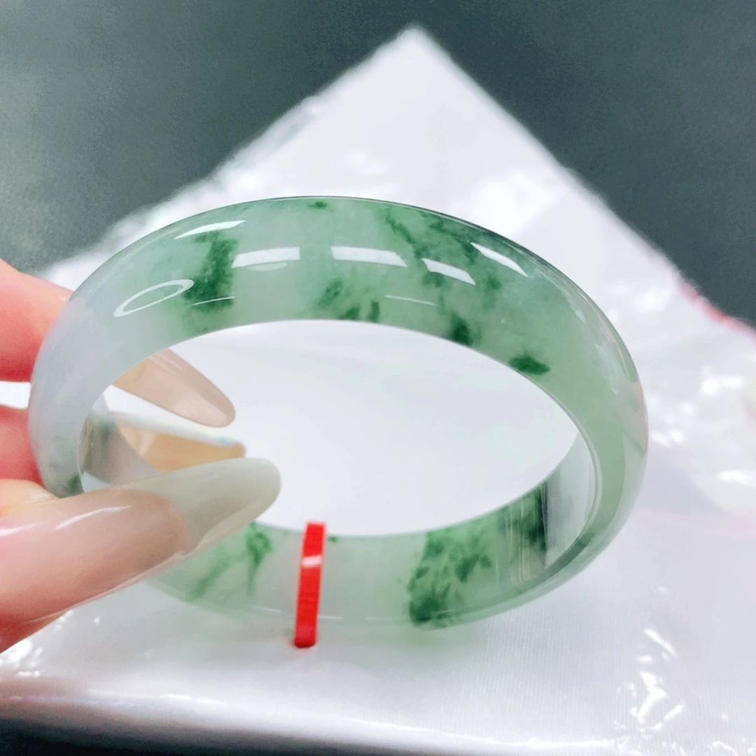 未镶嵌手镯翡翠48.49