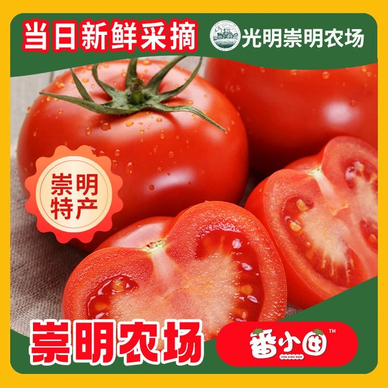 [顺丰到家]光明瑞华普罗旺斯西红柿大番茄新鲜自然熟蔬菜