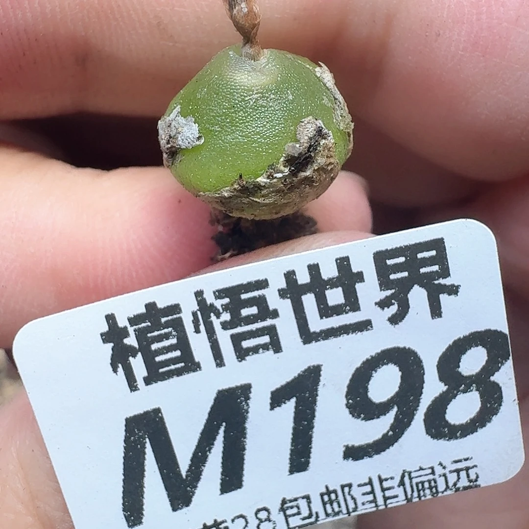 的润泽的润泽之分