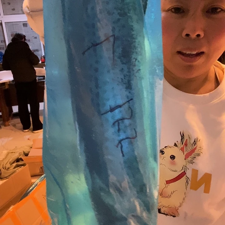 佳***倩中国大陆渤海湾野生燕鲅鱼L号