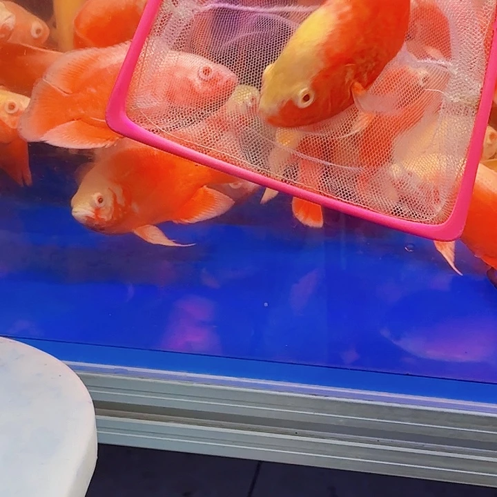 枫****海水aaaaaaaaaa啊啊啊啊啊啊啊啊