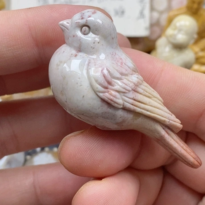 颈饰未镶嵌硅化珊瑚（珊瑚玉）