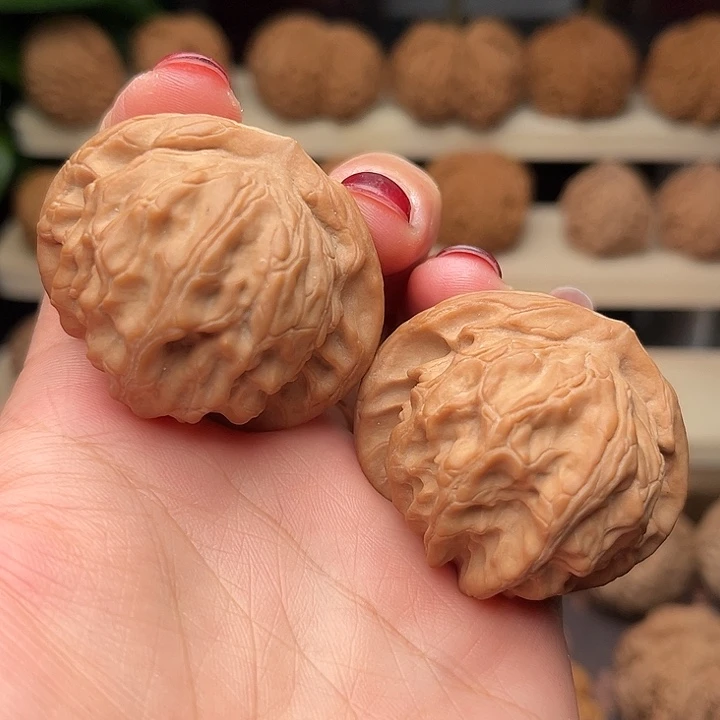 核桃43全品大耳朵图图