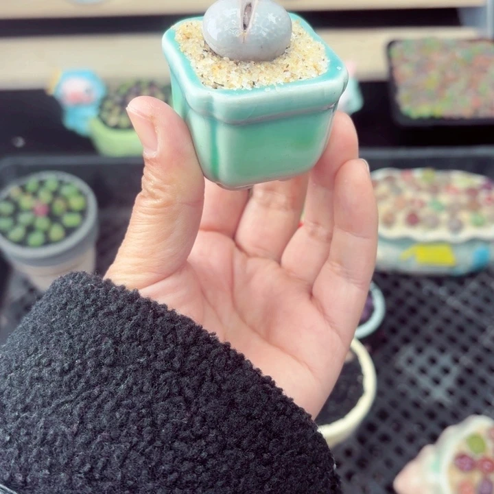 806零下地区记得拍保温箱满18包邮