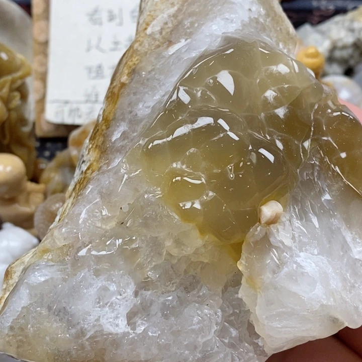 颈饰未镶嵌硅化珊瑚（珊瑚玉）