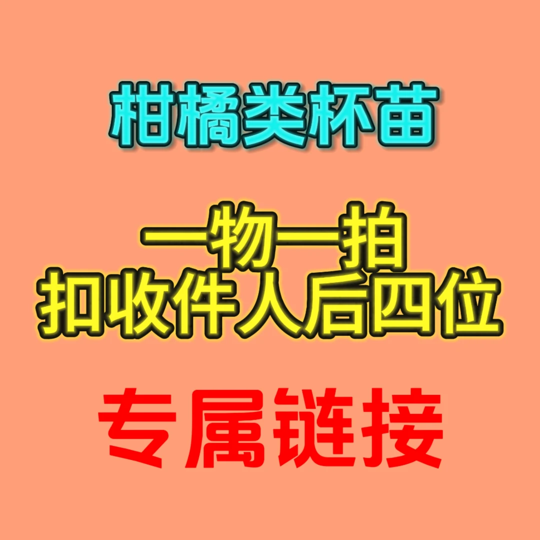 柑橘类杯苗一物一拍，原土原杯发货